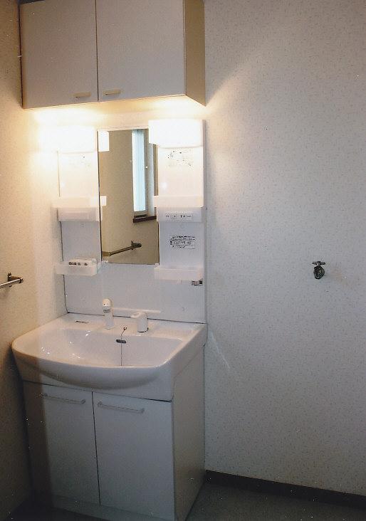 Wash basin, toilet. Spacious wash room of the space