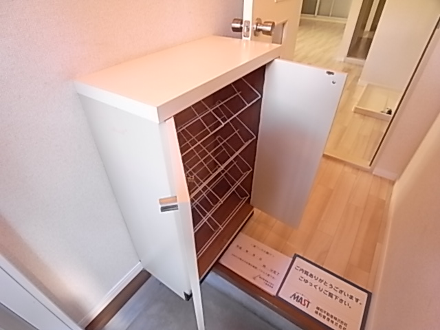 Entrance. Entrance and a shoebox.