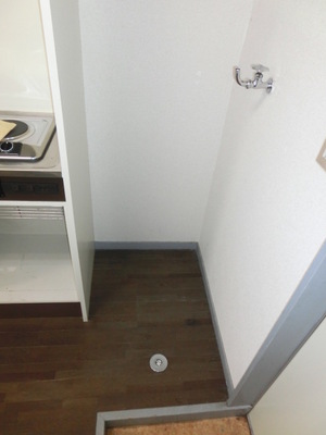 Washroom. Indoor Laundry Storage