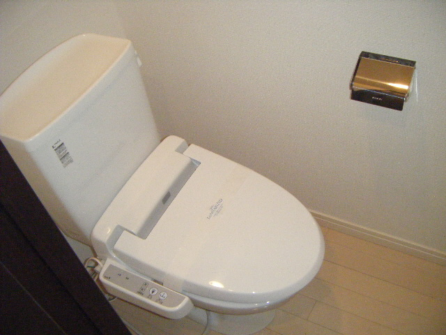 Toilet. With hot water cleaning function