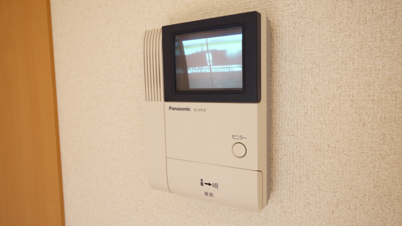 Security. Confirmation of visitors intercom with monitor