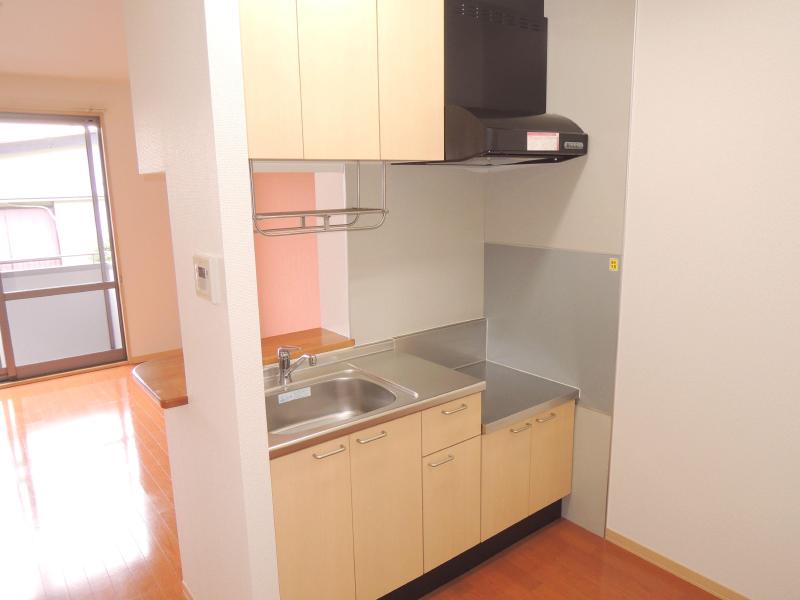 Kitchen. Spacious space even kitchen space