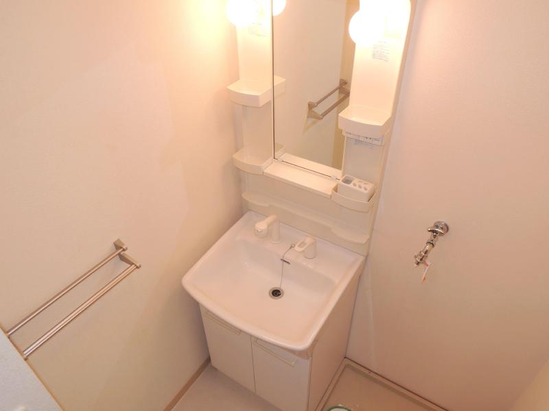 Washroom. Shampoo dresser to survive in the morning of preparation.