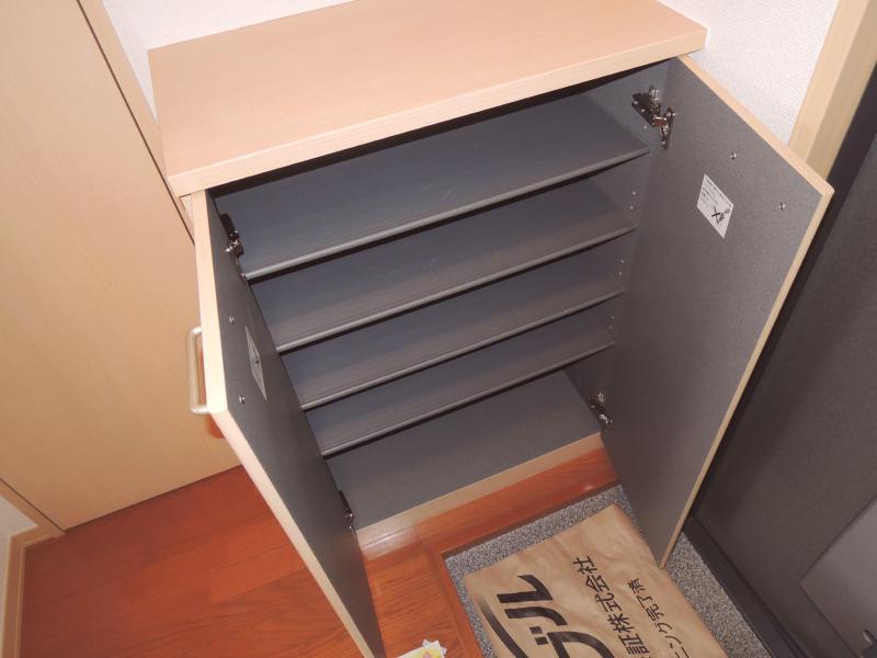 Entrance. The entrance, There are shoes BOX