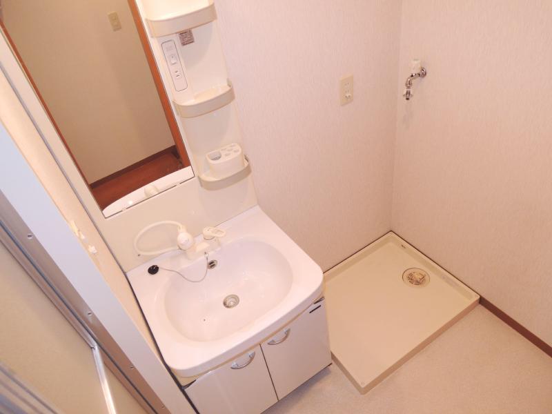 Washroom. Shampoo dresser to survive in the morning of preparation!