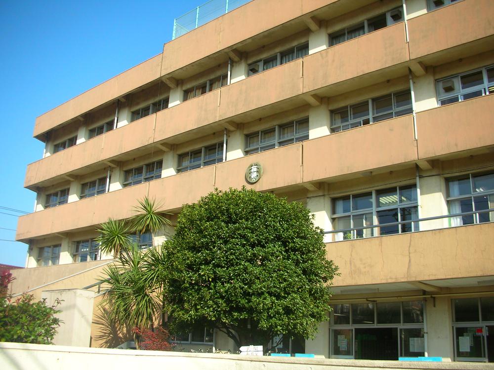 Primary school. God of the sea until the elementary school 620m