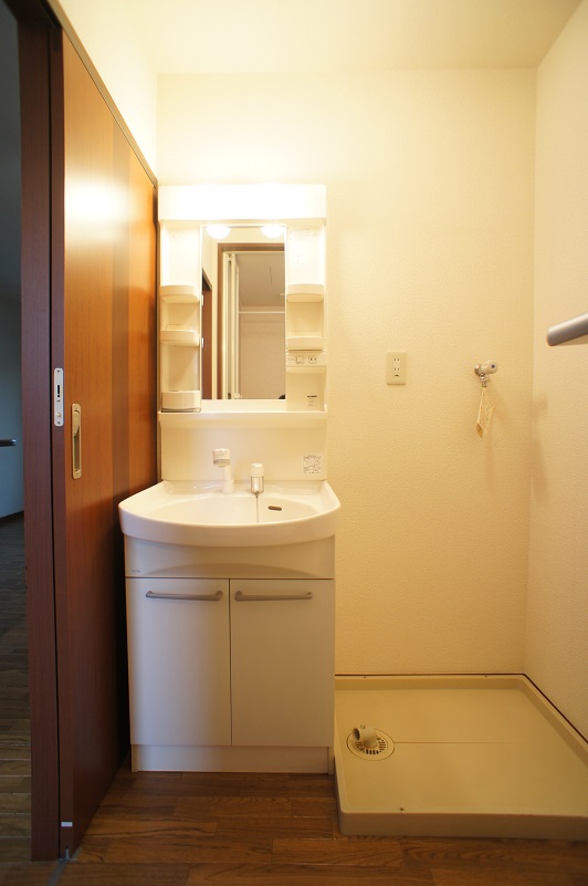 Washroom. Shampoo dresser