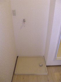 Washroom. This washing machine Storage