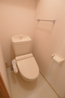 Toilet. Warm water washing toilet seat