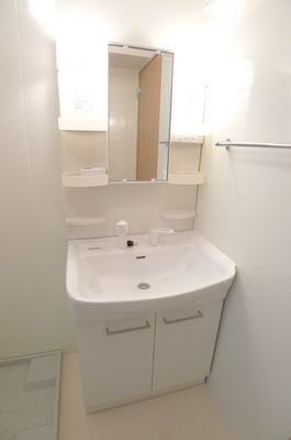 Washroom. Shampoo wash basin