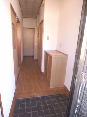 Entrance. Some of the entrance hall is a room!