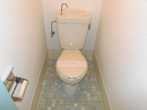 Toilet. Western-style toilet. 