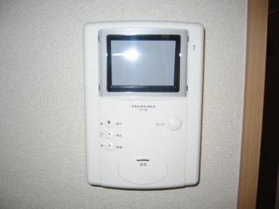 Security. TV monitor with intercom