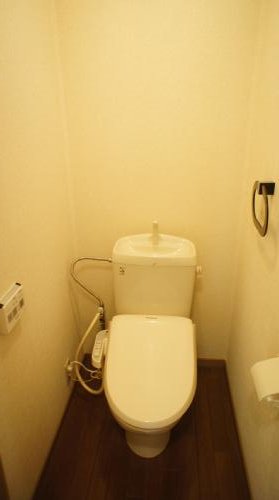 Toilet. Toilet is with a bidet.