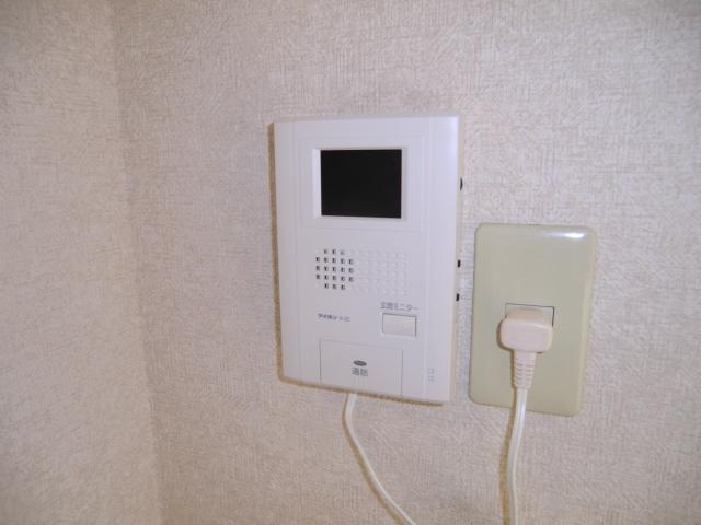 Other. This is different and is not equipped with attached