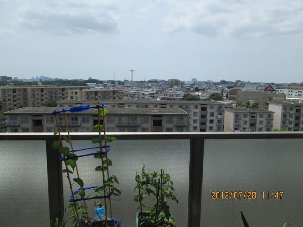 Funabashi, Chiba Prefecture Narashinodai 8