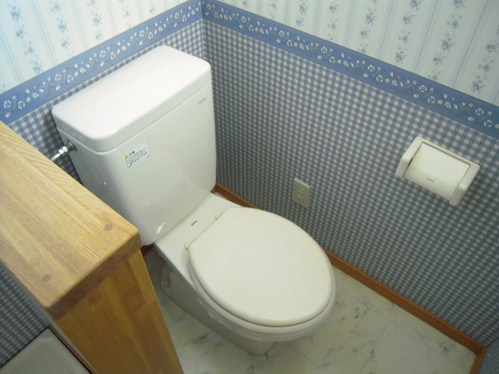 Toilet. Bath and toilet is another course! 