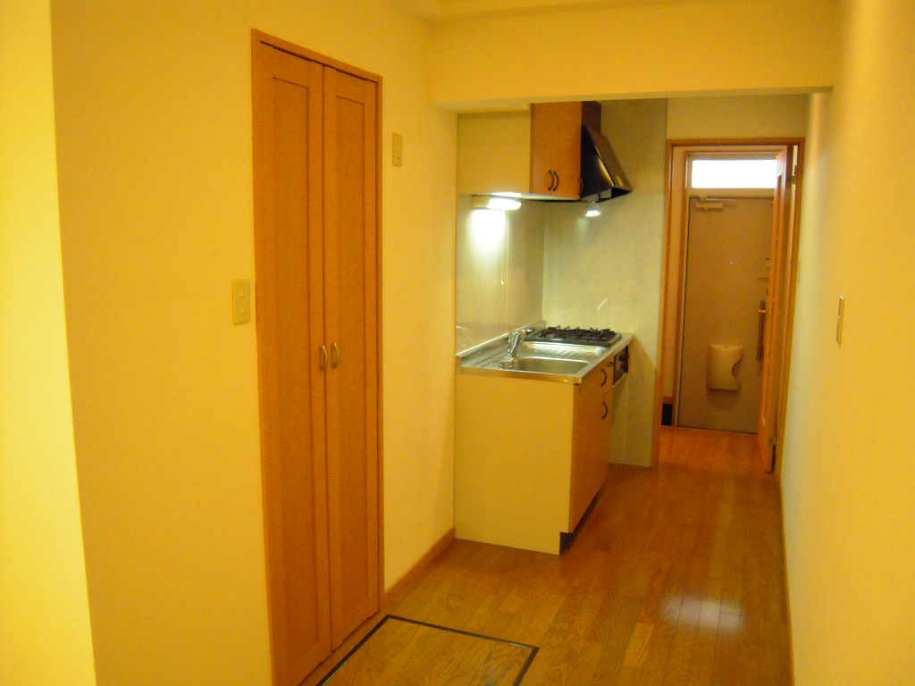 Other. Spacious also around the kitchen. 