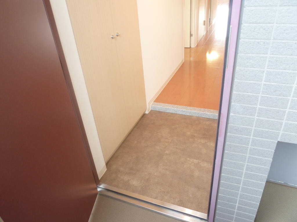 Entrance. High storage capacity shoe box