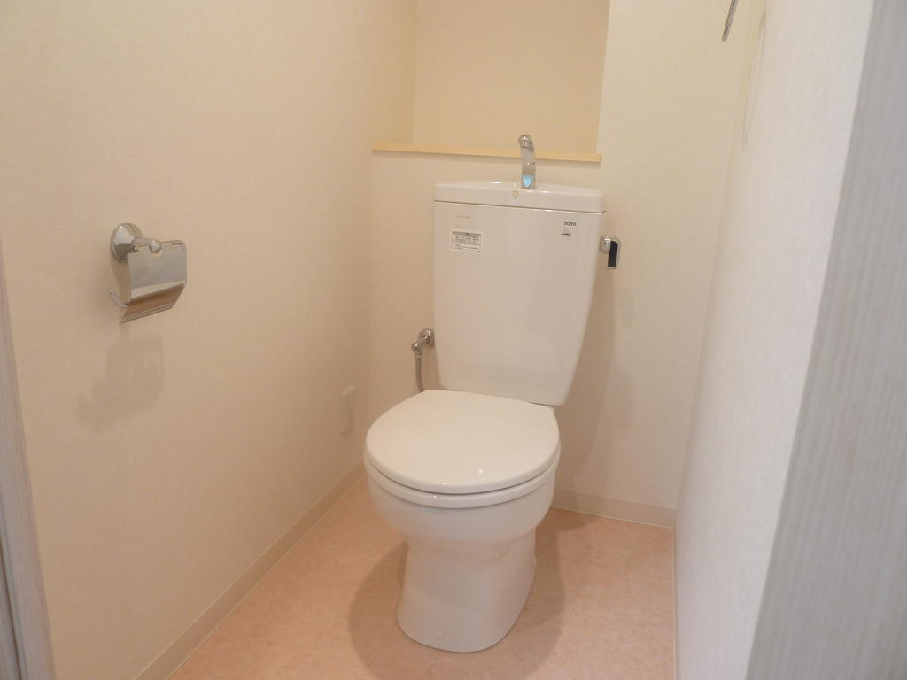 Toilet. Restroom with cleanliness