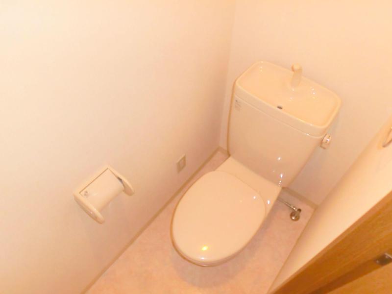 Toilet. Rest room with cleanliness