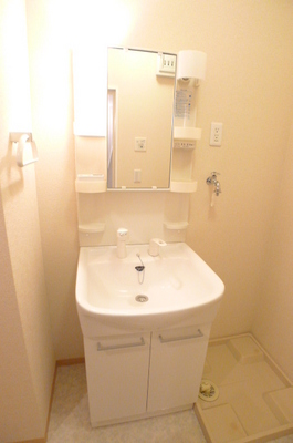 Washroom. Shampoo wash basin