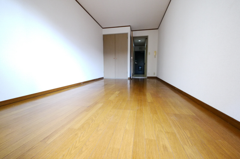 Living and room. Flooring of the living room is a little spread!