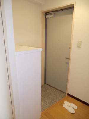 Entrance. Shoe box equipped