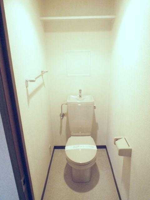 Toilet. Western-style toilet