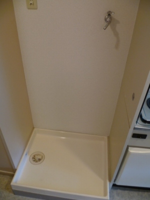 Washroom. Laundry Area is there a here. .