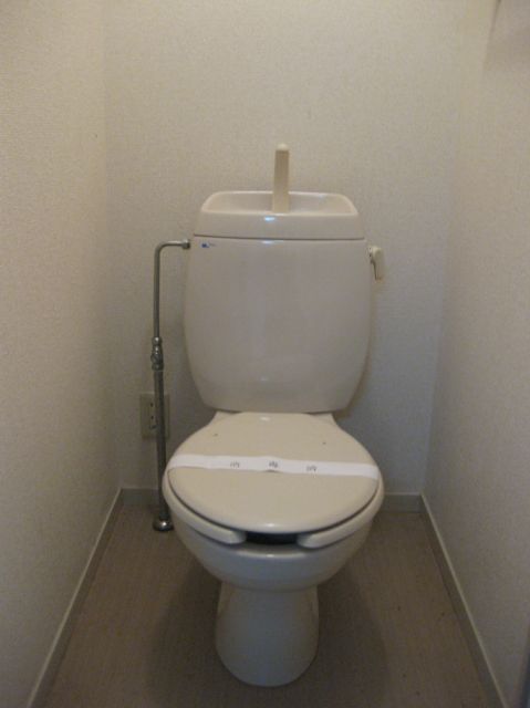 Toilet. Western-style toilet