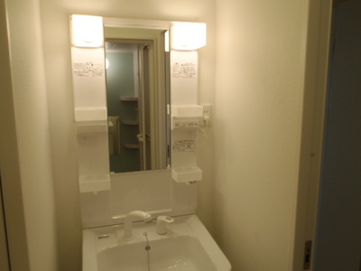 Washroom. Shampoo dresser