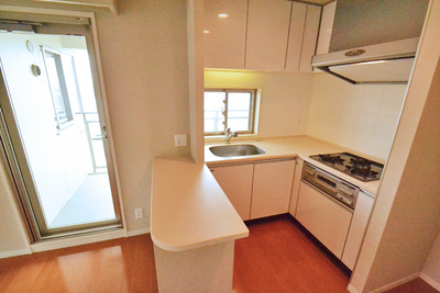 Kitchen. It is good and bright kitchen was per diem