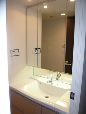 Washroom. Spread of independent wash basin