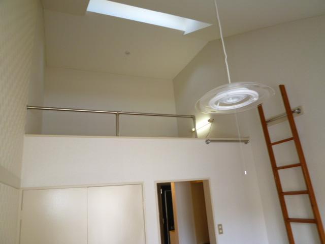 Other. Skylight with