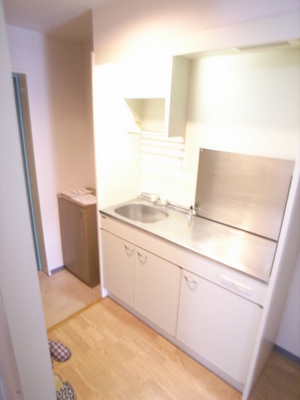 Kitchen. It helps to gas stove can be installed kitchen dishes