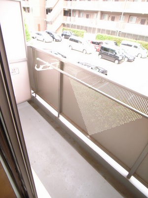 Balcony. Type of laundry is not visible! I am happy to women!