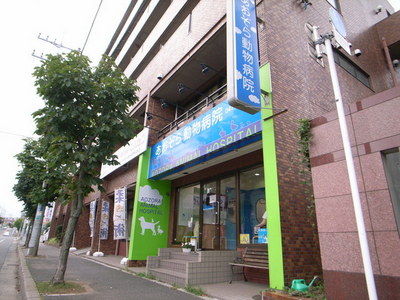 Other. Blue sky animal hospital until the (other) 340m