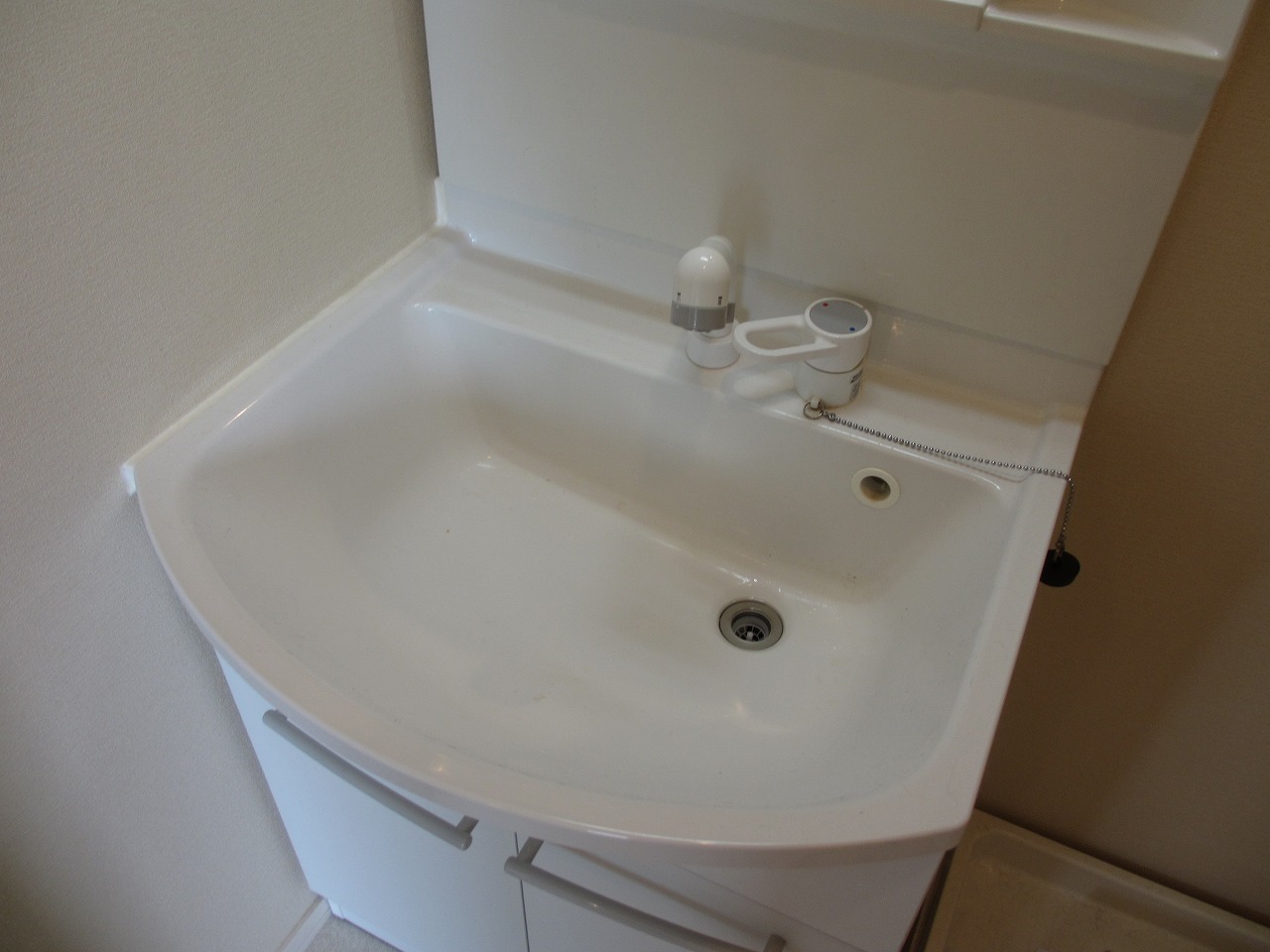 Washroom. Washbasin with handheld shower