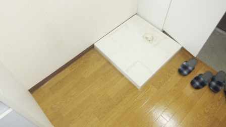 Entrance. There is also a washing machine storage in the front door next to