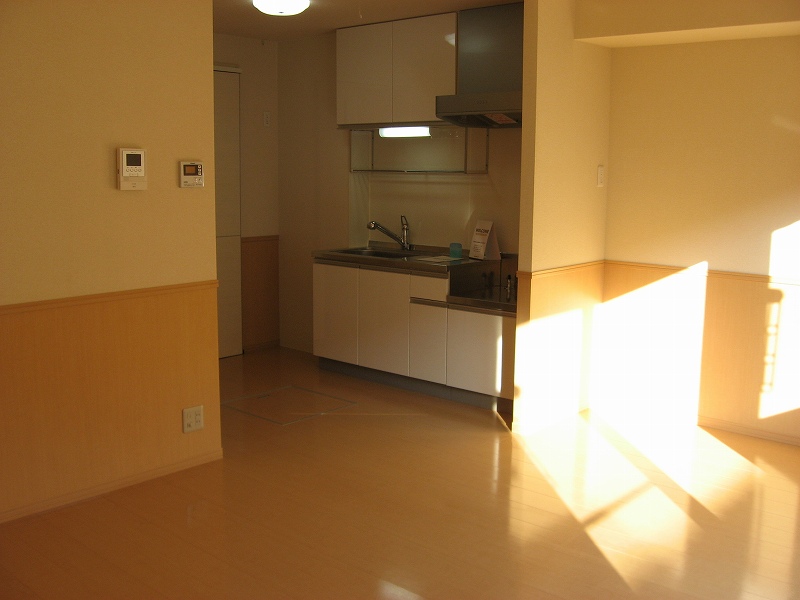 Other. It is good to have recessed kitchen. .