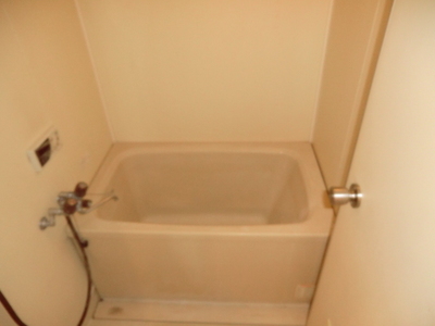 Bath. Spacious bathtub