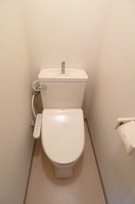 Toilet. Warm water washing toilet seat