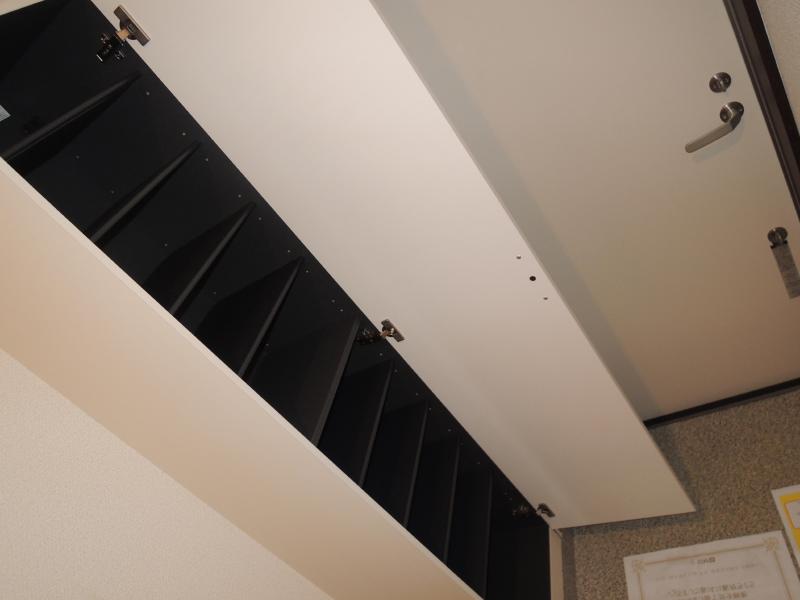 Entrance. Large shoe box equipped in the front door