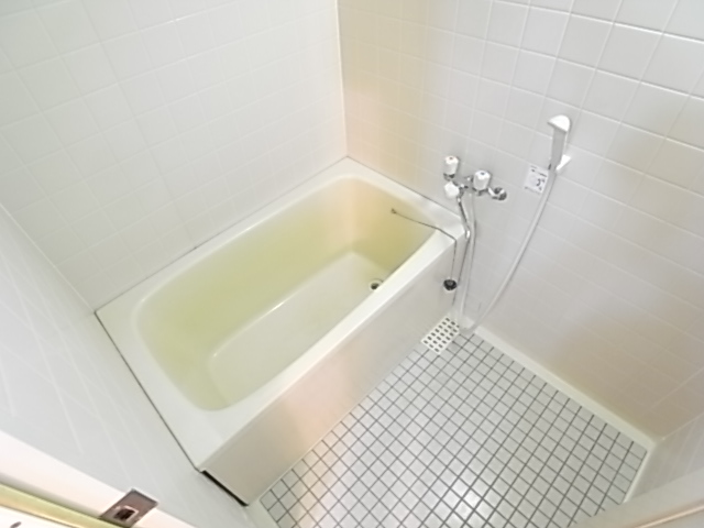 Bath. Beautiful bathroom. Independent wash basin is popular.