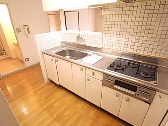 Kitchen. Large kitchen and a large kitchen space is glad to women.