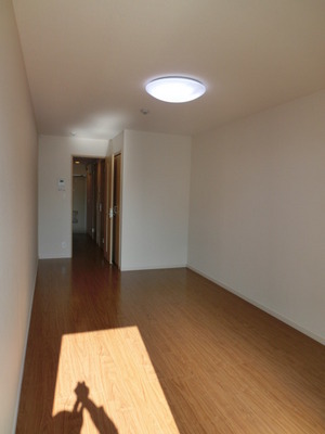 Living and room. Day is well bright Western-style