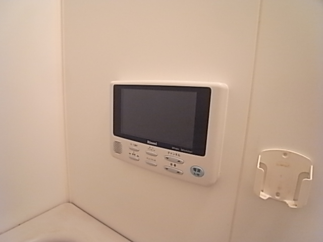 Bath. What bathroom is also equipped with TV. It is overwhelming.