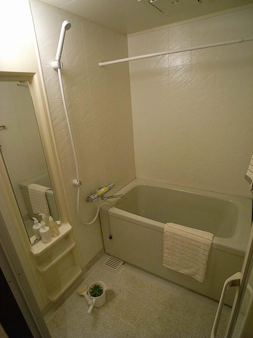 Bathroom. Indoor (07 May 2013) Shooting