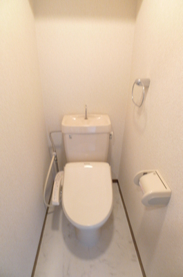 Toilet. Warm water washing toilet seat